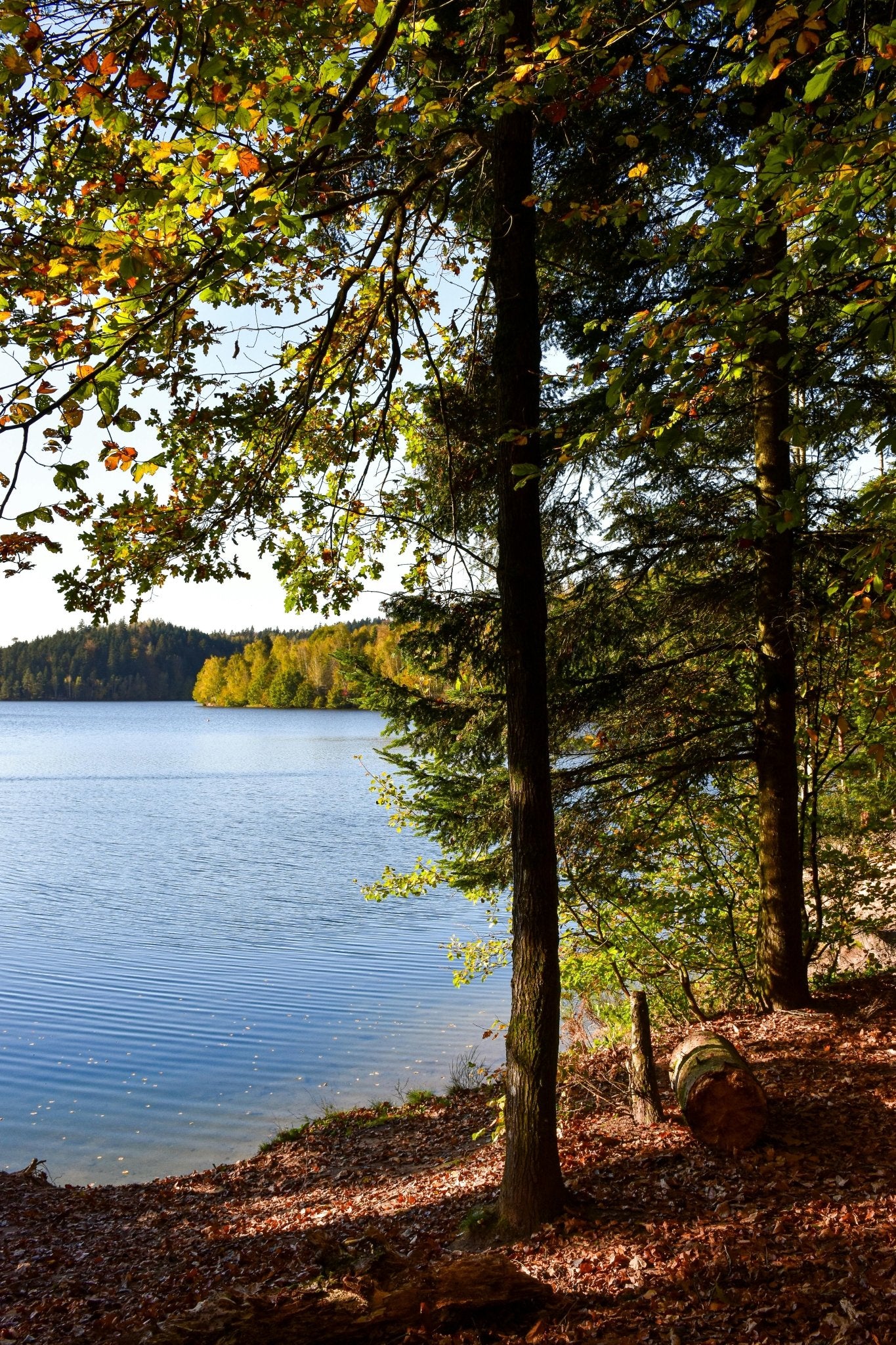 Brombachsee Attraktionen &amp; Restaurants mit Biergarten – Ein perfekter Tag am See