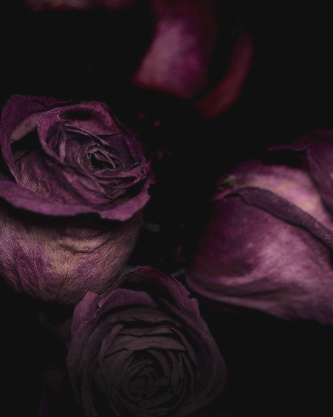 Valentinsmenü 14.02.26