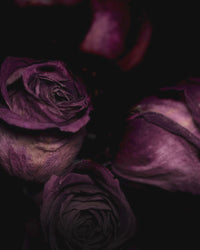 Valentinsmenü 14.02.26